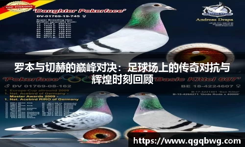 bwin必赢官方网站