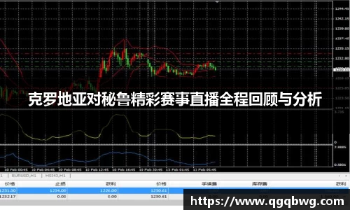 克罗地亚对秘鲁精彩赛事直播全程回顾与分析
